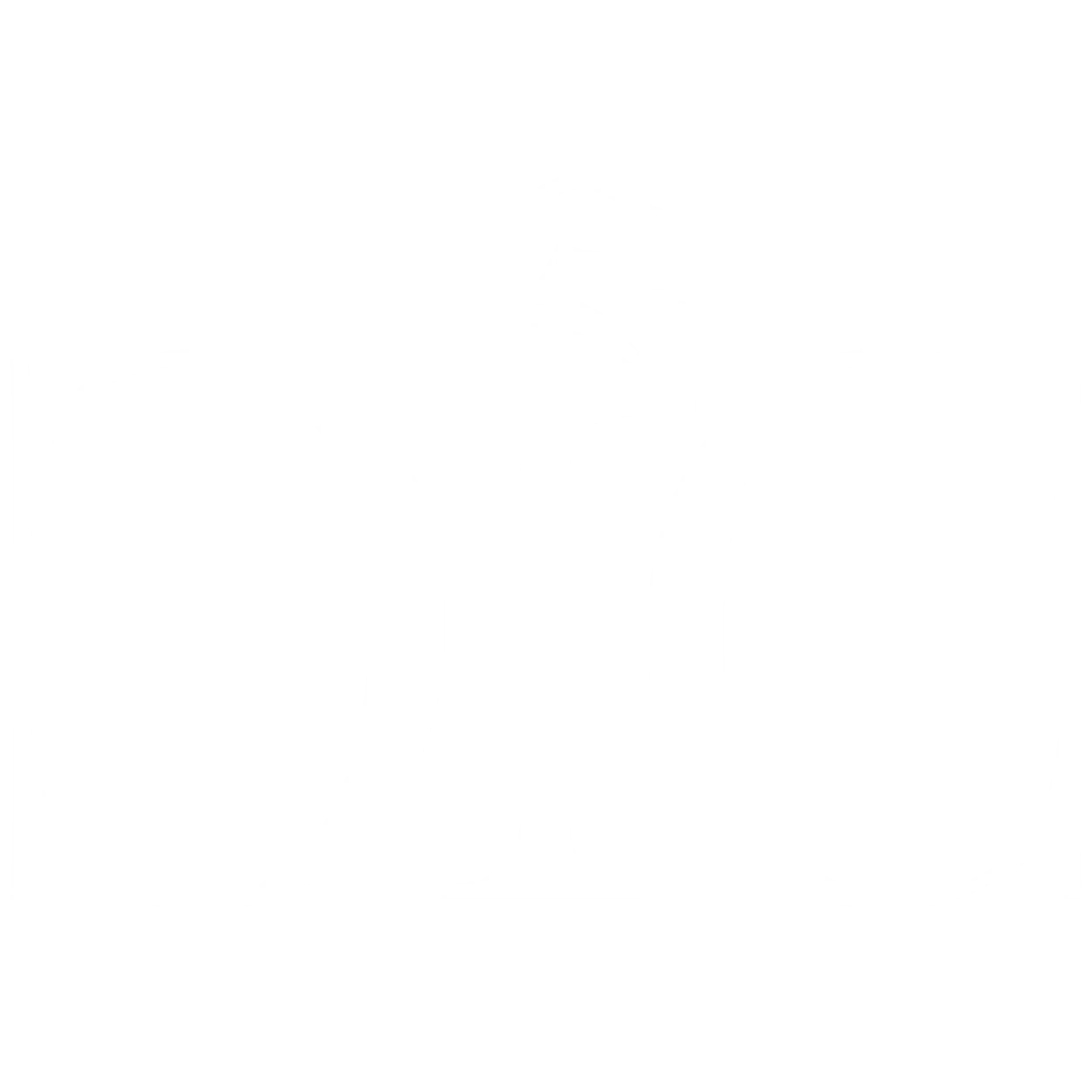 light logo